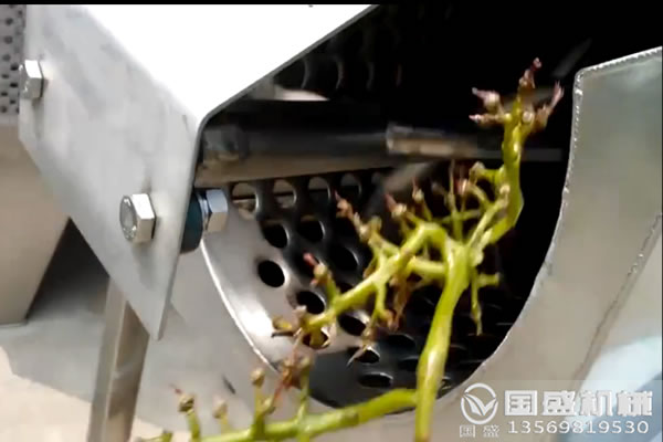 葡萄除梗機(jī)產(chǎn)量
