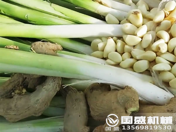 大蔥粉碎機(jī)