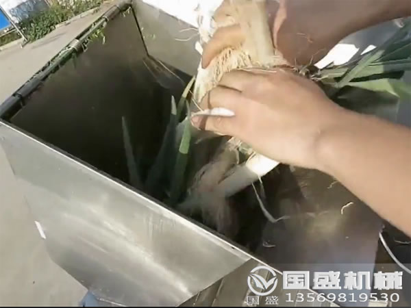 脫水蔥白高效粉碎機(jī)