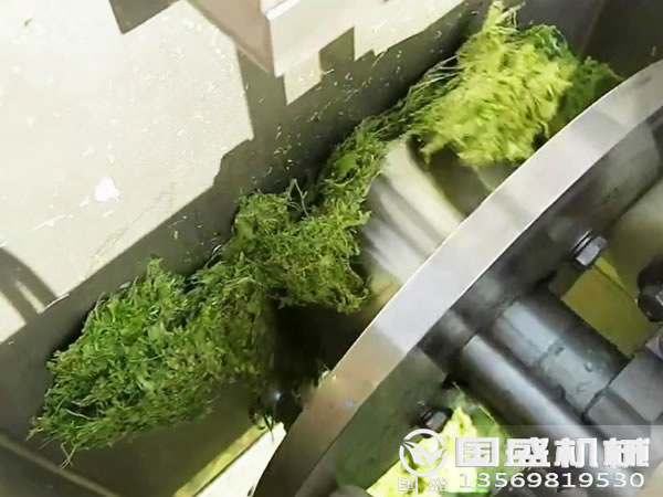 洋蔥大蔥大蒜粉碎設(shè)備