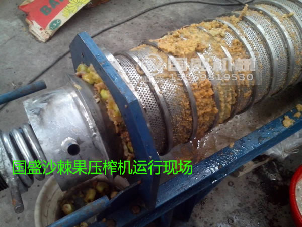 沙棘果破碎壓榨機(jī)