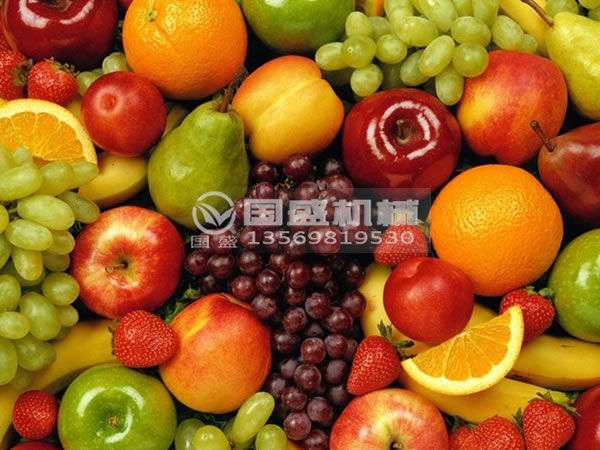 餐飲果蔬垃圾處理設備