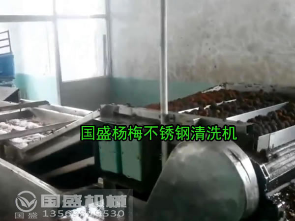 楊梅不銹鋼清洗機