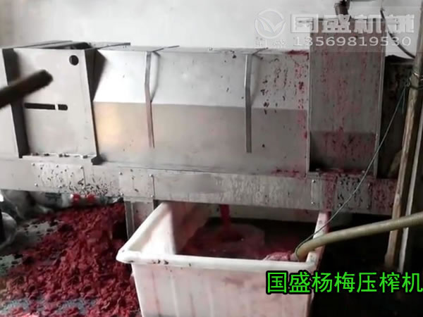 鮮楊梅發(fā)酵脫汁設備