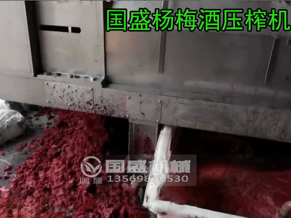楊梅擠壓脫水加工現(xiàn)場