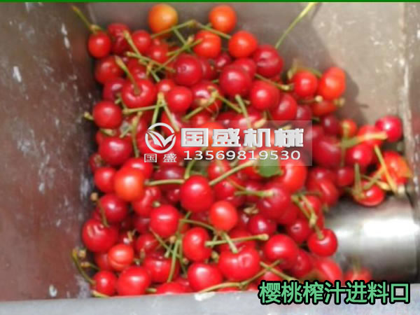 櫻桃壓榨機(jī)