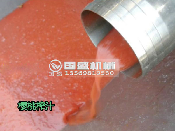 櫻桃榨汁設(shè)備